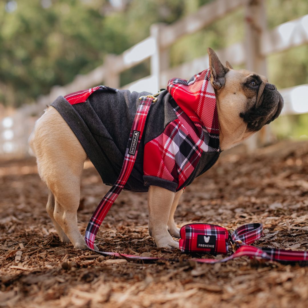 Frenchie Dog Hoodie - Scarlet Plaid