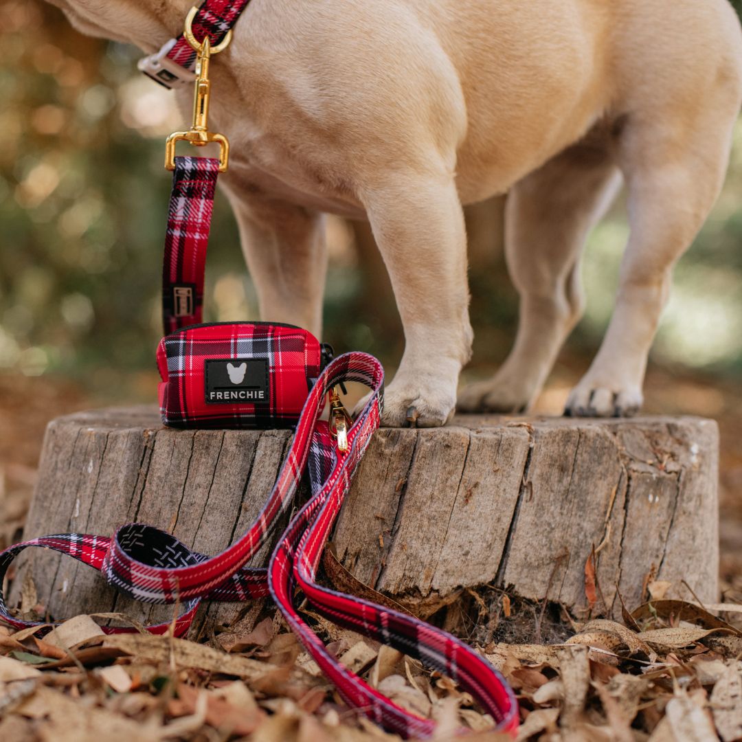 Frenchie Comfort Leash - Scarlet Plaid