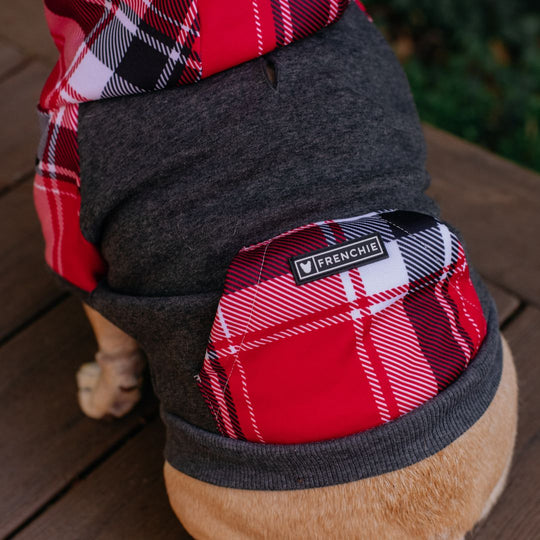 Frenchie Dog Hoodie - Scarlet Plaid