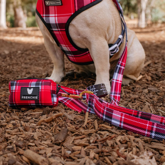 Frenchie Comfort Leash - Scarlet Plaid