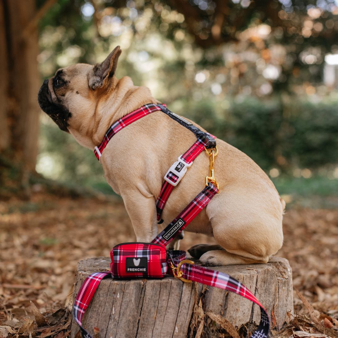 Frenchie Poo Bag Holder - Scarlet Plaid