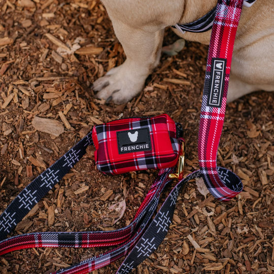 Frenchie Comfort Leash - Scarlet Plaid