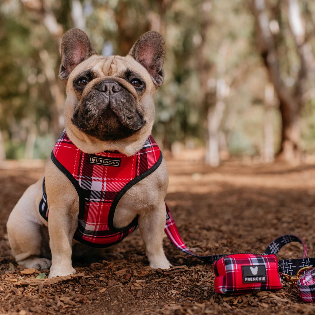 Frenchie Poo Bag Holder - Scarlet Plaid