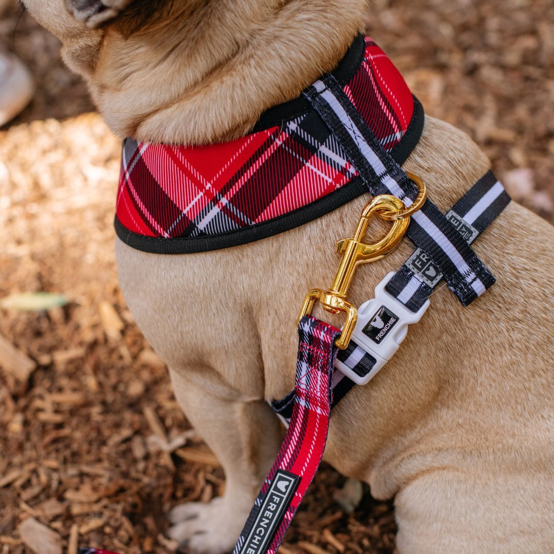 Frenchie Duo Reversible Harness - Scarlet Plaid