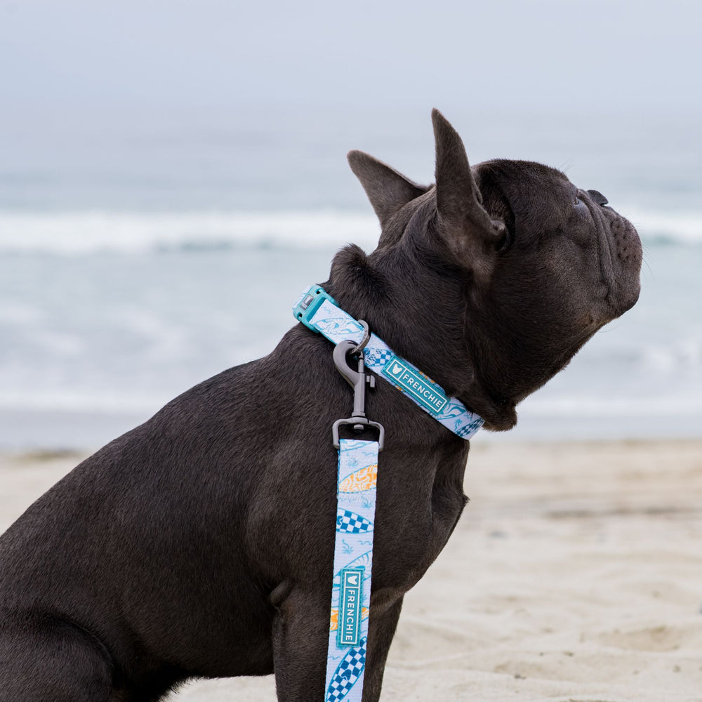 Frenchie Comfort Collar - Surfboard