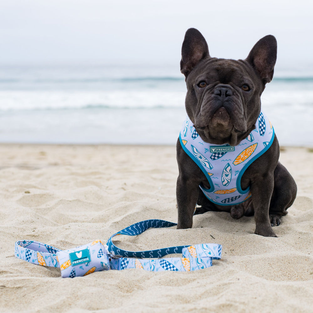 Frenchie Duo Reversible Harness - Surfboard