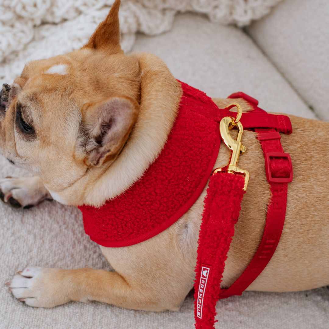 Frenchie Comfort Leash - Teddy Red