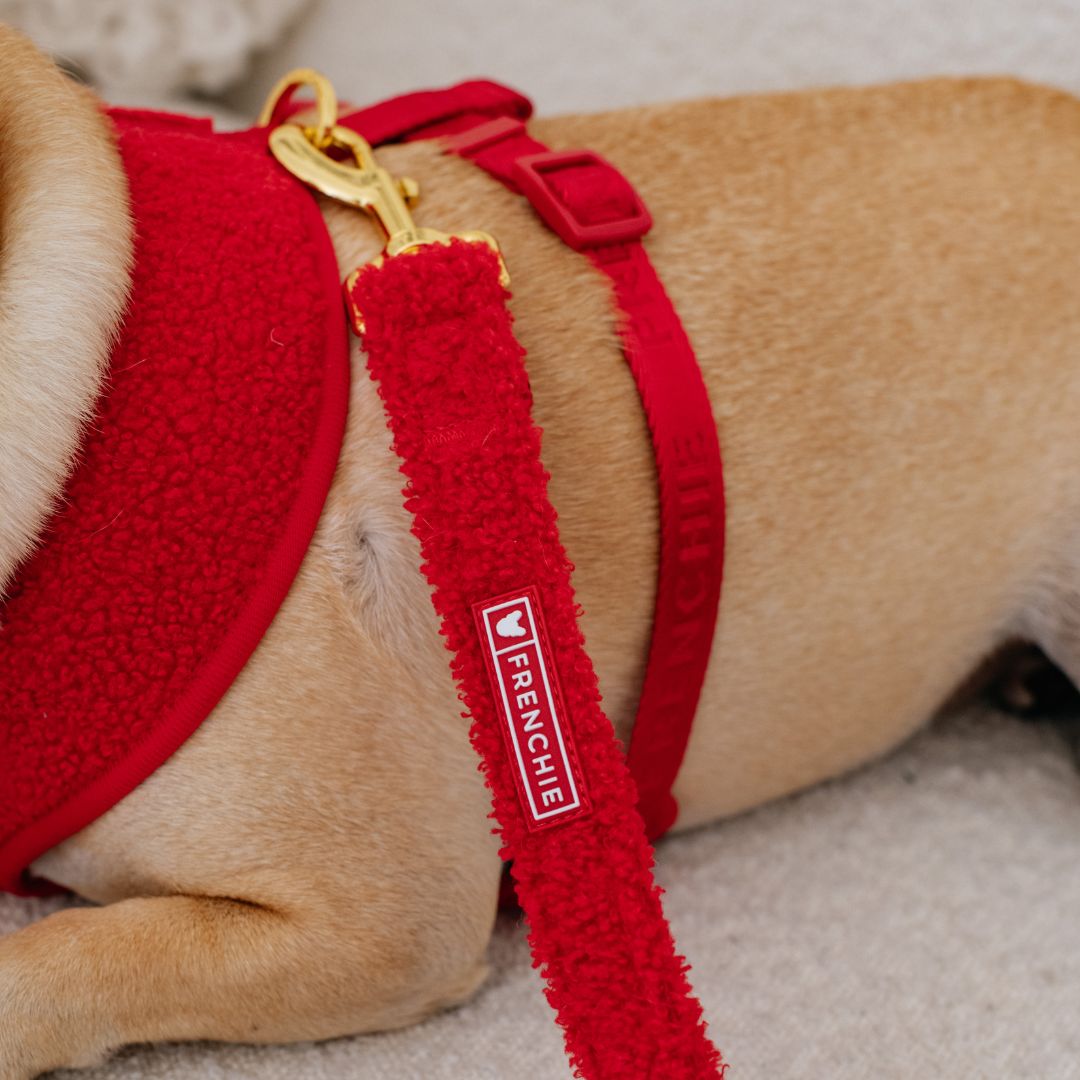 Frenchie Comfort Leash - Teddy Red