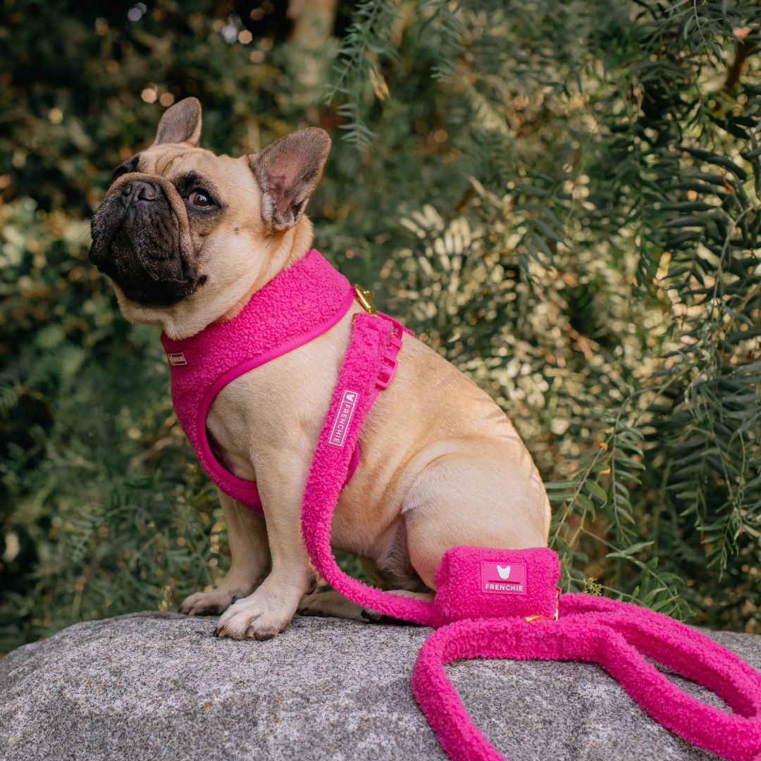 Frenchie Duo Reversible Harness - Teddy Hot Pink