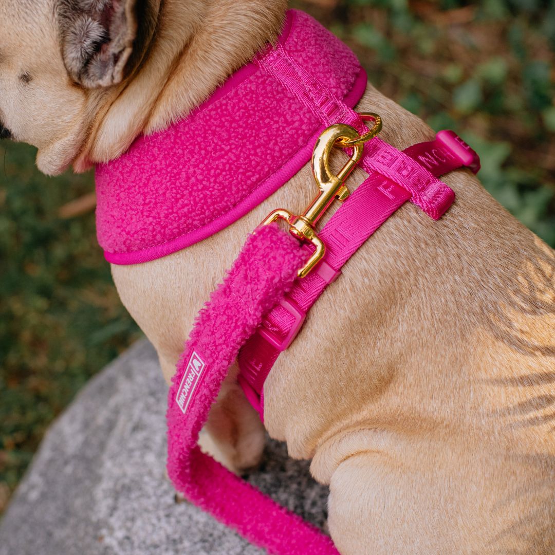 Frenchie Duo Reversible Harness - Teddy Hot Pink