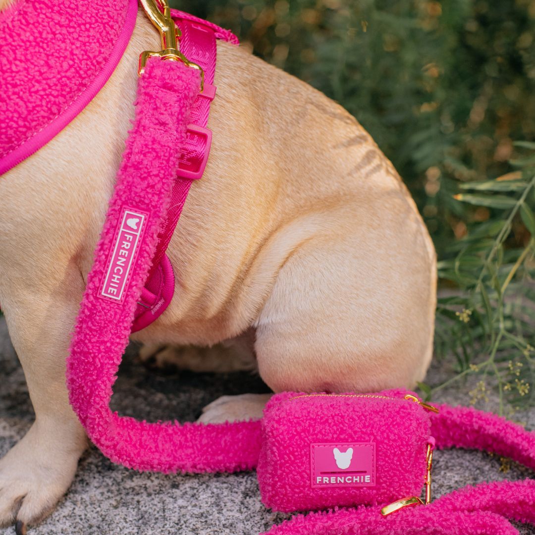 Frenchie Comfort Leash - Teddy Hot Pink