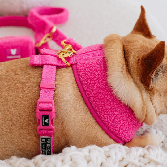 Frenchie Duo Reversible Harness - Teddy Hot Pink