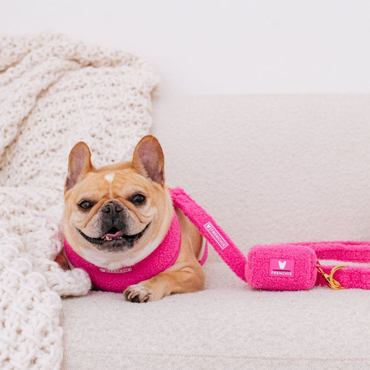 Frenchie Comfort Leash - Teddy Hot Pink