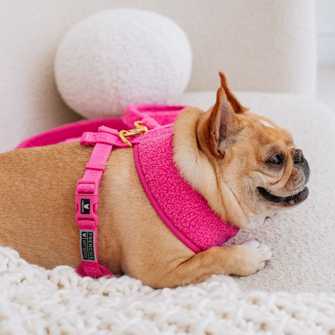 Frenchie Duo Reversible Harness - Teddy Hot Pink