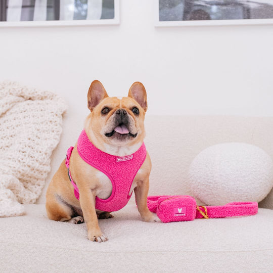 Frenchie Duo Reversible Harness - Teddy Hot Pink