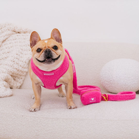 Frenchie Duo Reversible Harness - Teddy Hot Pink