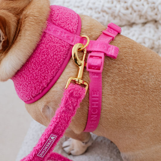 Frenchie Comfort Leash - Teddy Hot Pink