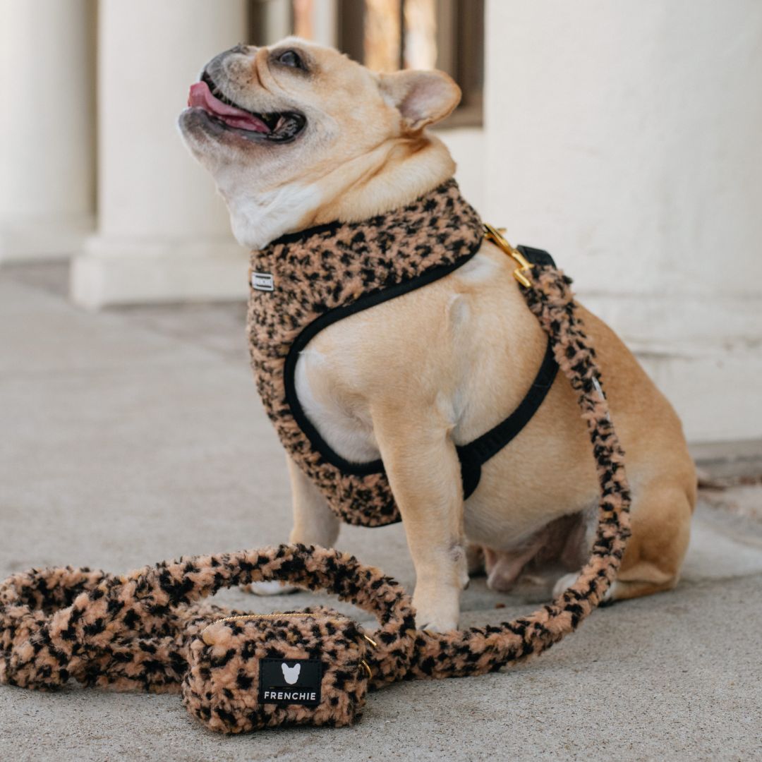 Frenchie Poo Bag Holder - Teddy Leopard