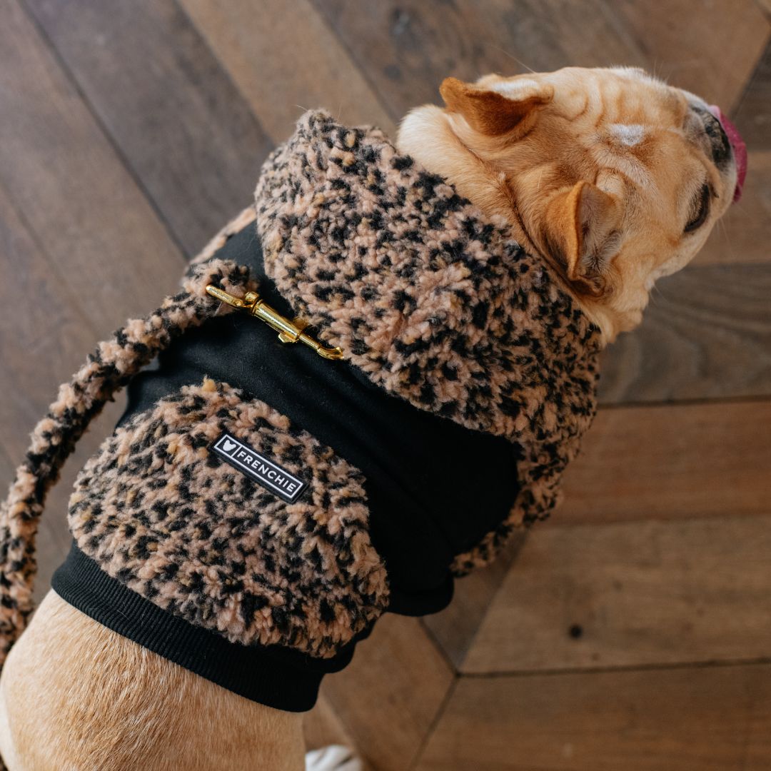 Frenchie Dog Hoodie - Teddy Leopard