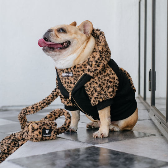 Frenchie Dog Hoodie - Teddy Leopard