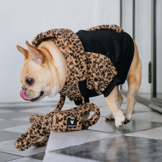 Frenchie Dog Hoodie - Teddy Leopard