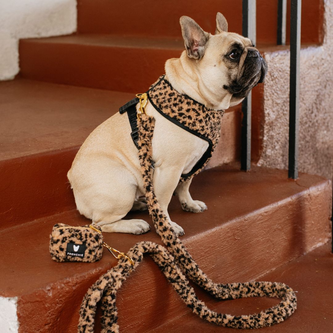 Frenchie Comfort Leash - Teddy Leopard