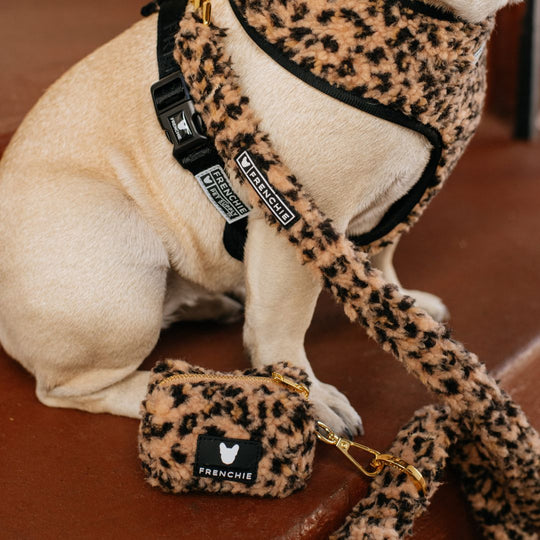 Frenchie Comfort Leash - Teddy Leopard