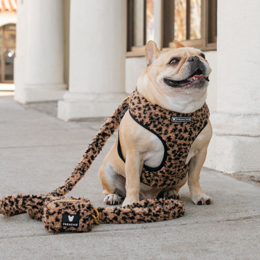 Frenchie Duo Reversible Harness - Teddy Leopard