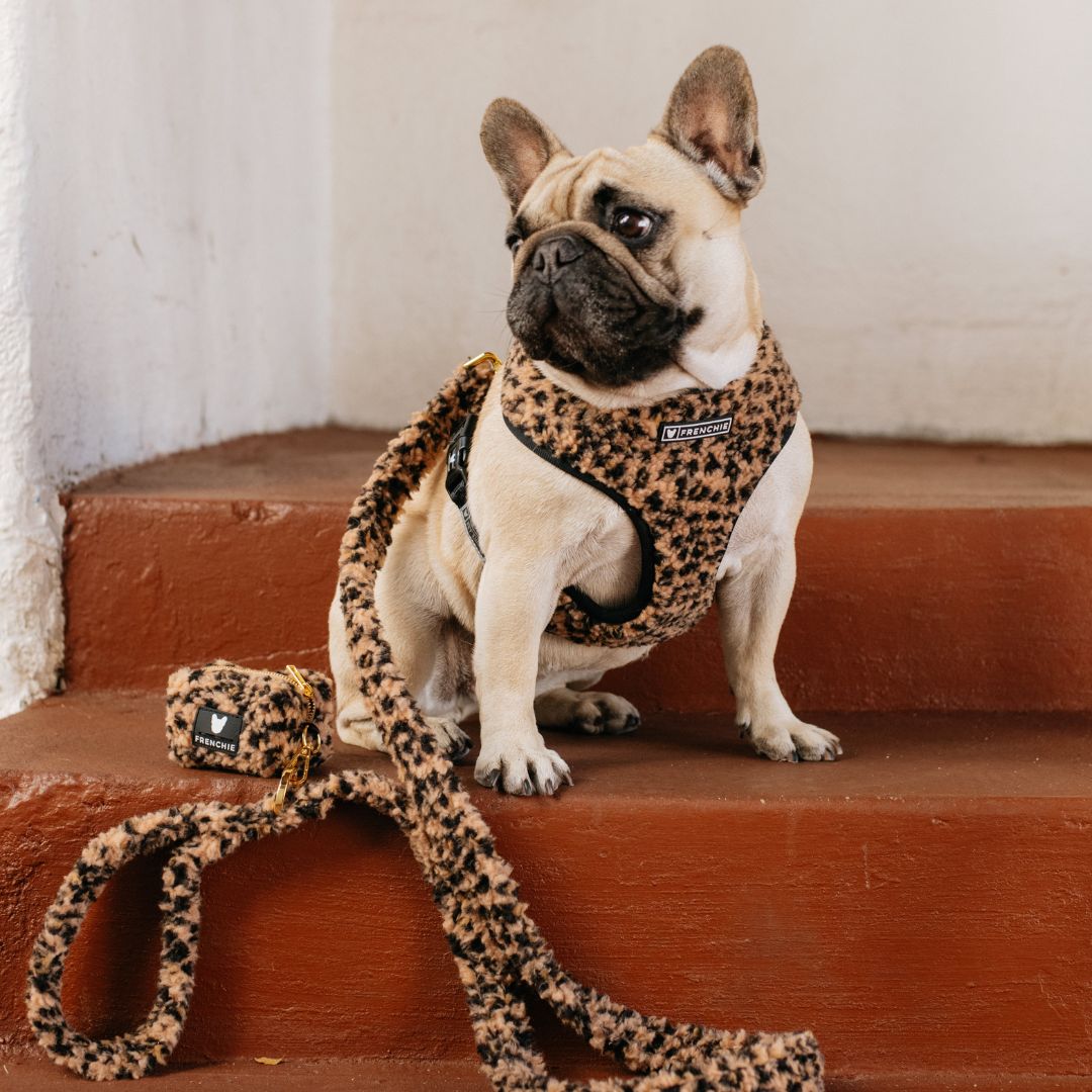 Frenchie Comfort Leash - Teddy Leopard