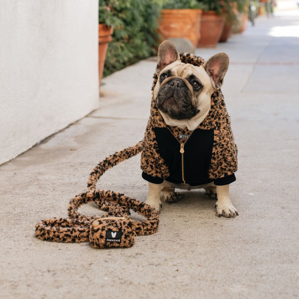 Frenchie Dog Hoodie - Teddy Leopard