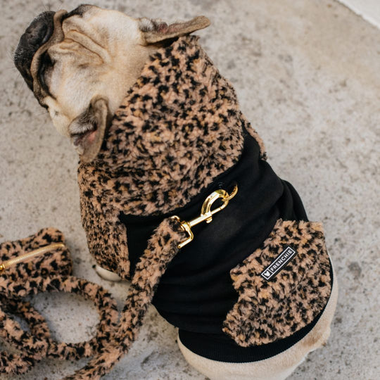 Frenchie Dog Hoodie - Teddy Leopard