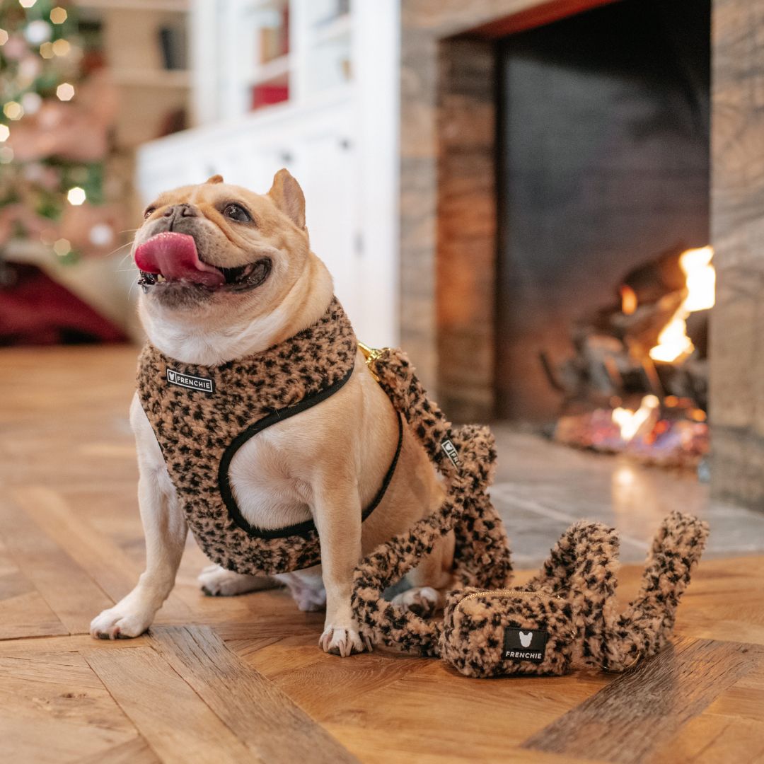 Frenchie Poo Bag Holder - Teddy Leopard