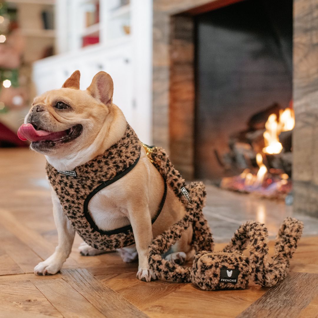 Frenchie Duo Reversible Harness - Teddy Leopard