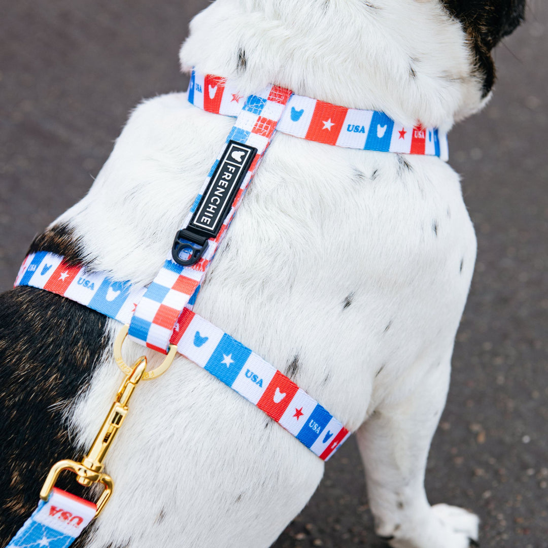 Frenchie Strap Harness - USA