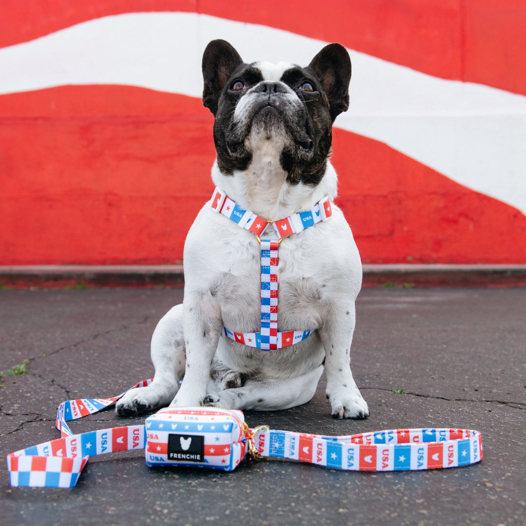 Frenchie Strap Harness - USA