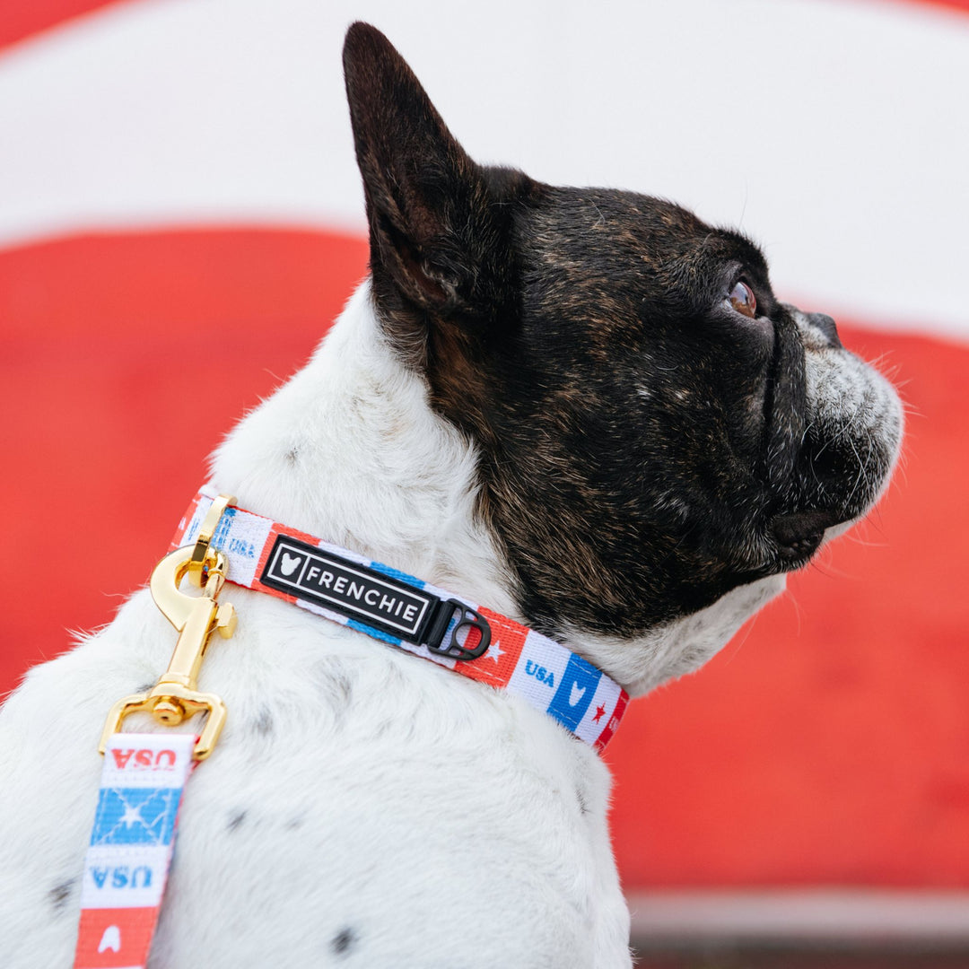 Frenchie Comfort Collar - USA