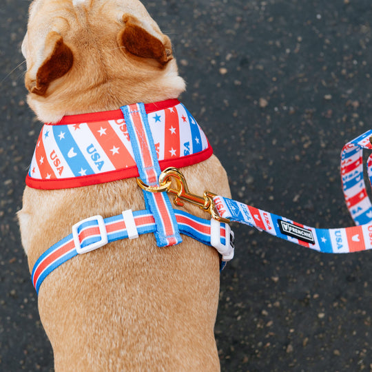 Frenchie Duo Reversible Harness - USA