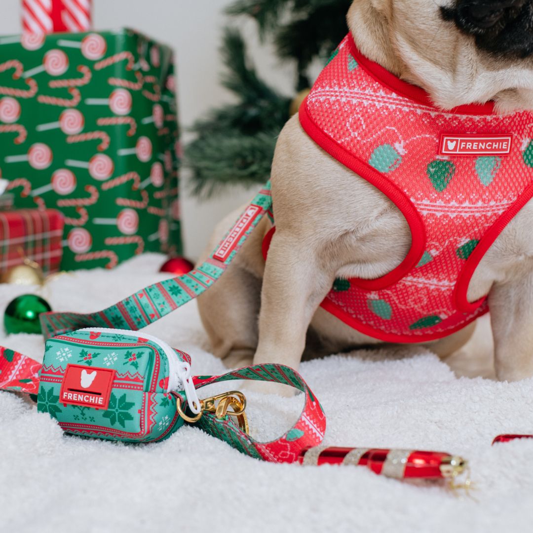 Frenchie Comfort Leash - Ugly Sweater