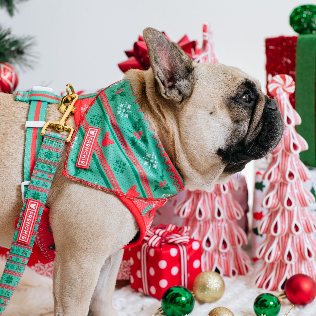 Frenchie Cooling Bandana - Ugly Sweater