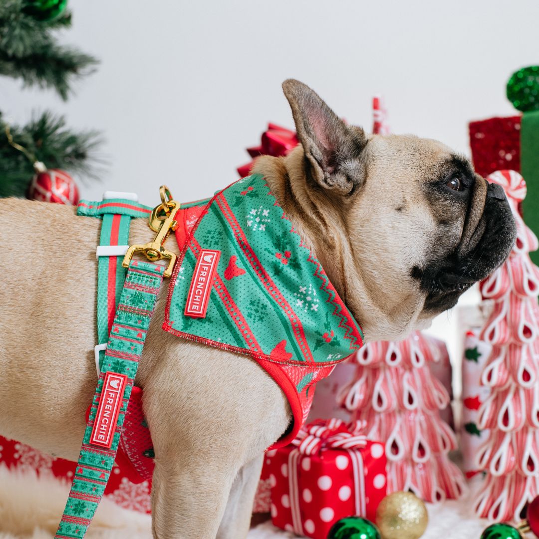 Frenchie Cooling Bandana - Ugly Sweater