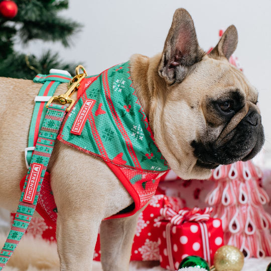 Frenchie Cooling Bandana - Ugly Sweater