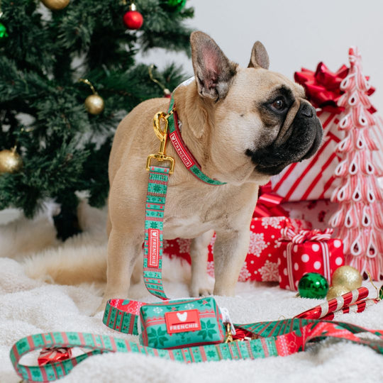 Frenchie Poo Bag Holder - Ugly Sweater