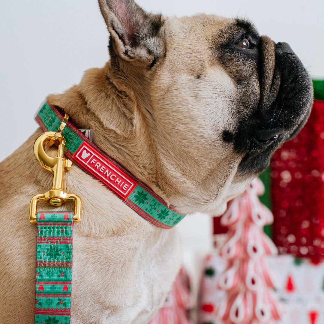 Frenchie Comfort Collar - Ugly Sweater