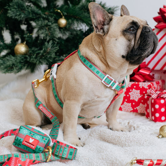 Frenchie Poo Bag Holder - Ugly Sweater