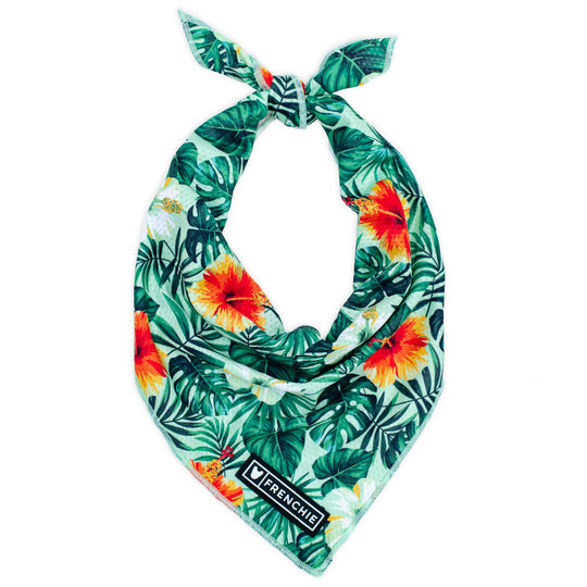 Frenchie Cooling Bandana - Hawaiian Shirt