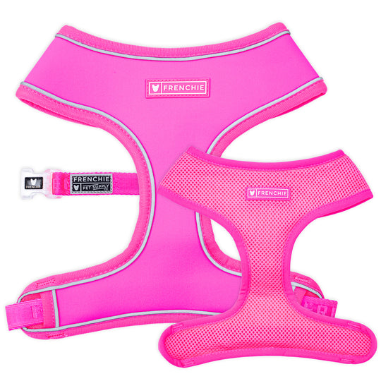 Frenchie Duo Reversible Harness - Neon Pink