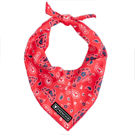 Frenchie Cooling Bandana - Red, White, and Paisley