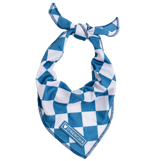 Frenchie Cooling Bandana - Blue Steel