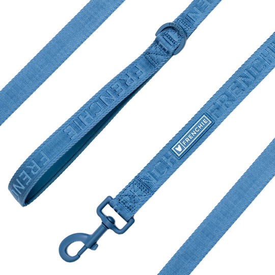 Frenchie Comfort Leash - Blue Steel