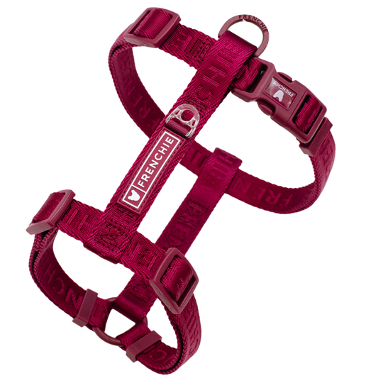 Frenchie Strap Harness - Ruby